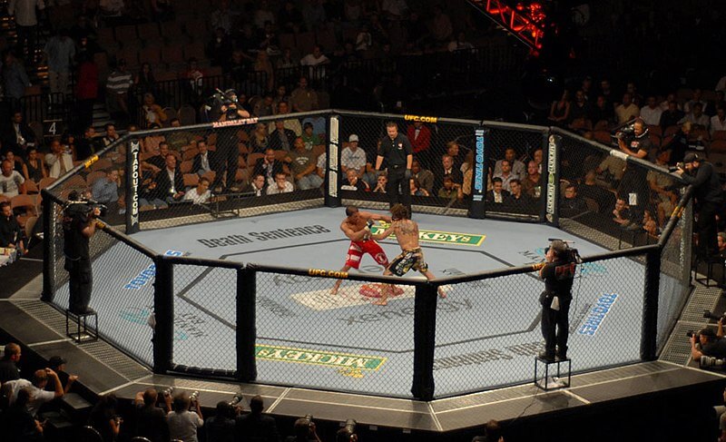 UFC fighters stand and trade