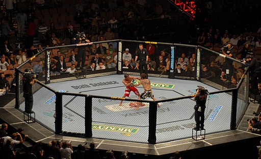 Longshot of the UFC Octagon