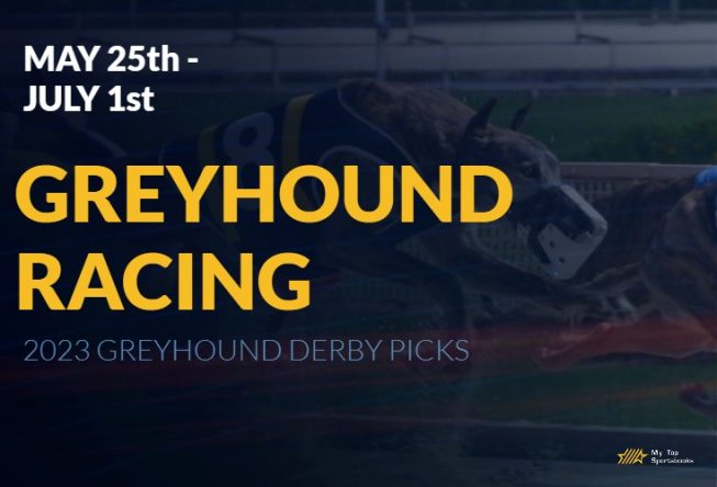 2023 Greyhound Derby Betting Picks