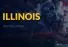 November Illinois Update
