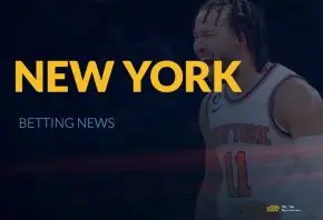 2025 Revenue New York