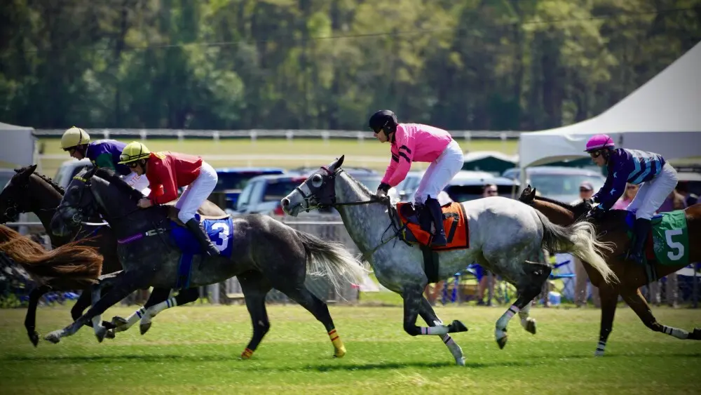 Betting Horse Races