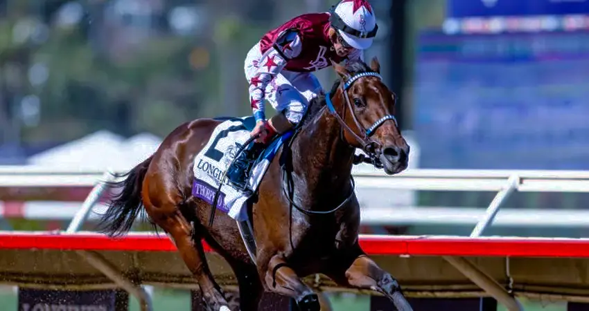 Image of a real horse race in action