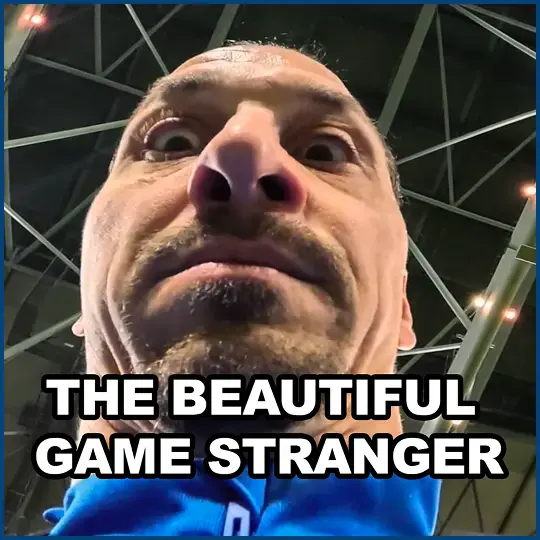 The Beautiful Stranger