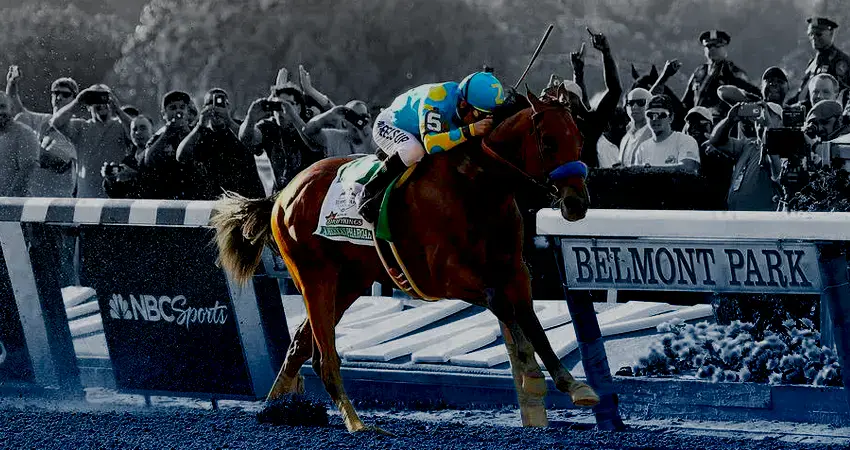 image of horse racing in belmont park championship
