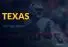 Texas Gov Race