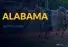 Alabama Horse Betting