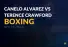 Boxing: Canelo Alvarez vs. Terrence Crawford Betting Picks