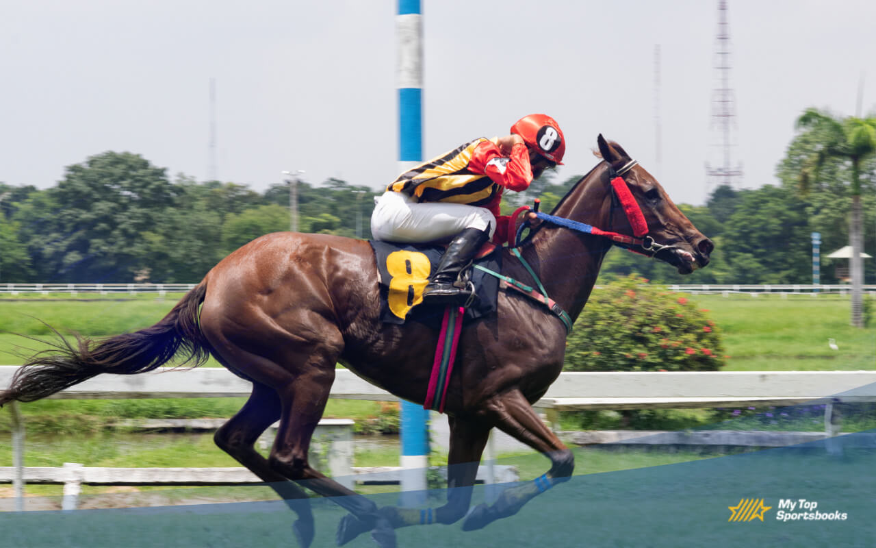 Best Bets on Kentucky Derby 2024 How To Bet On Kentucky Derby