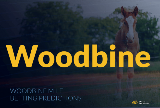 Woodbine Mile Betting Predictions